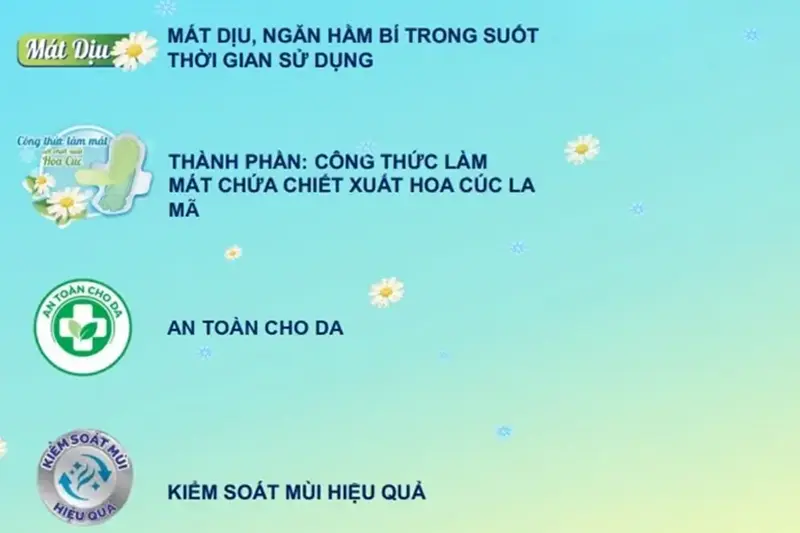 BVS Diana hoa cúc không cánh - gói 8c
