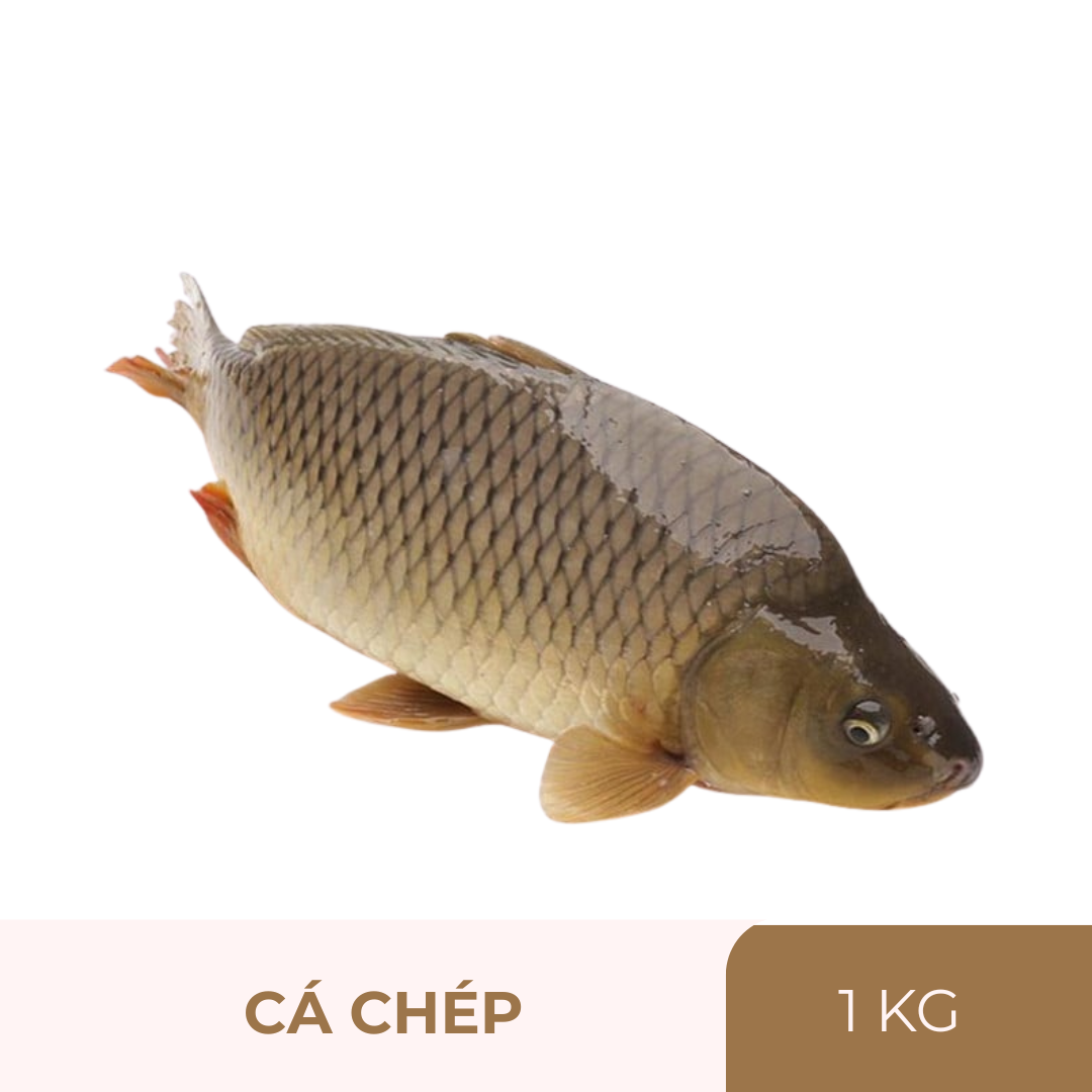 Cá chép cả con - 1kg