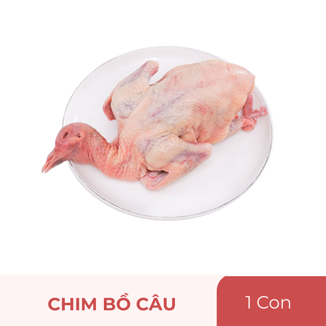 Chim bồ câu tươi làm sạch - con