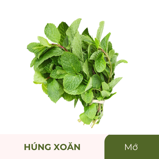 Rau húng xoăn - húng lủi - mớ