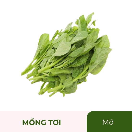 Mồng tơi - mớ