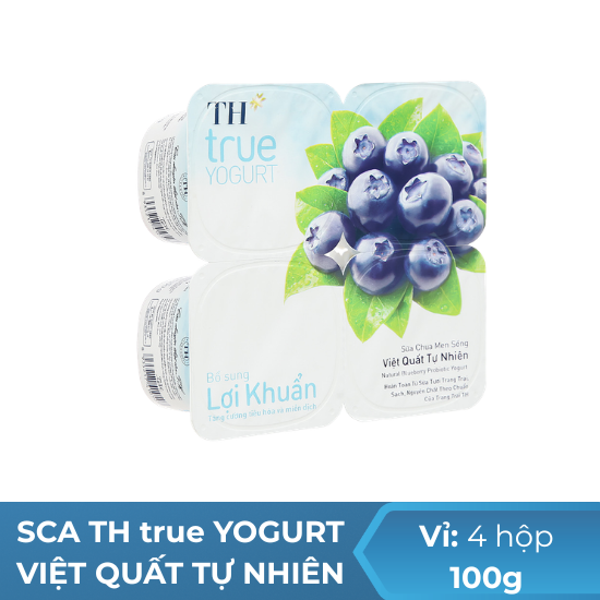 Sữa Chua Ăn TH true YOGURT việt quất  tự nhiên- 100g